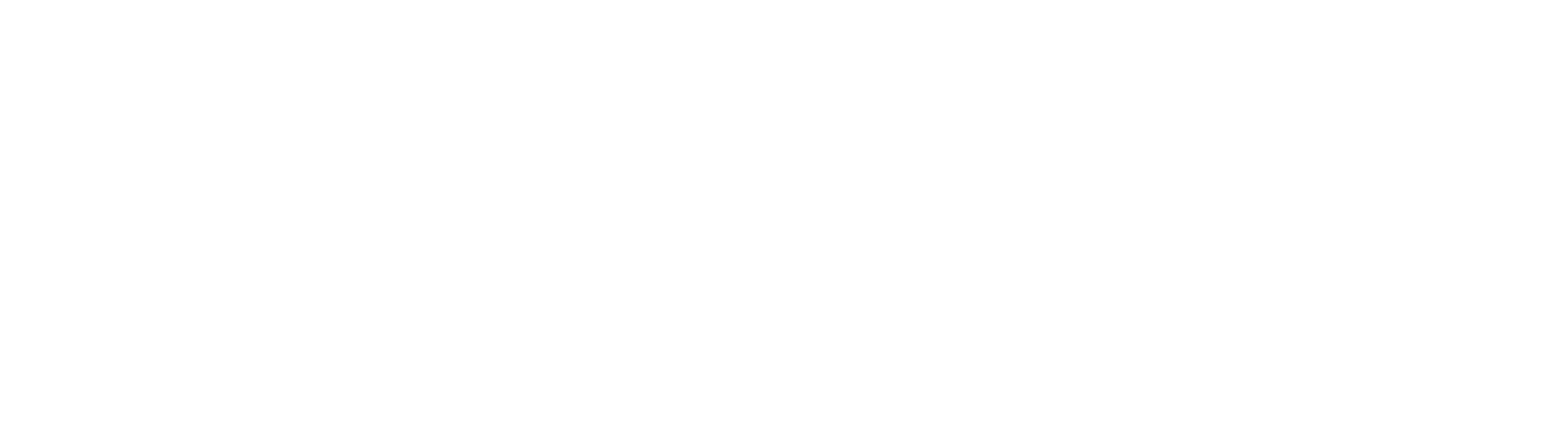 ludotheque-nyon-region-logotype-2022-BLANC